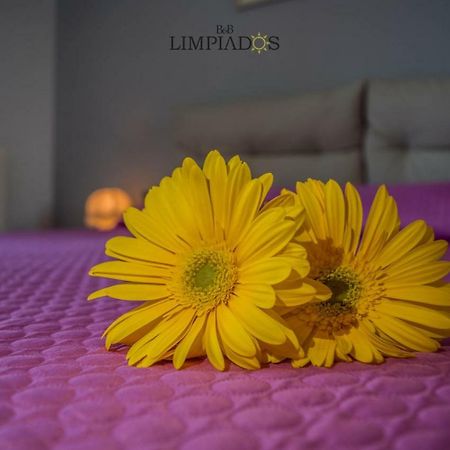 Limpiados Bed & Breakfast Ліката Екстер'єр фото